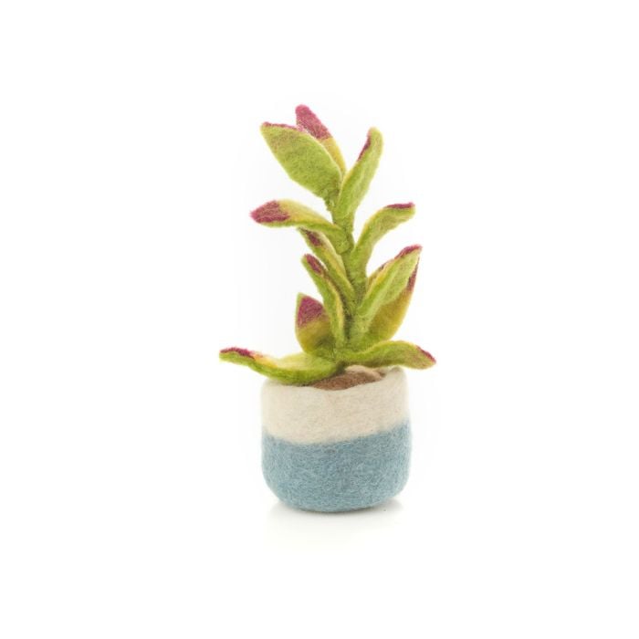 Felt So Good Handmade Felt Happy Houseplants Artificial Plant Cactus Decoration
