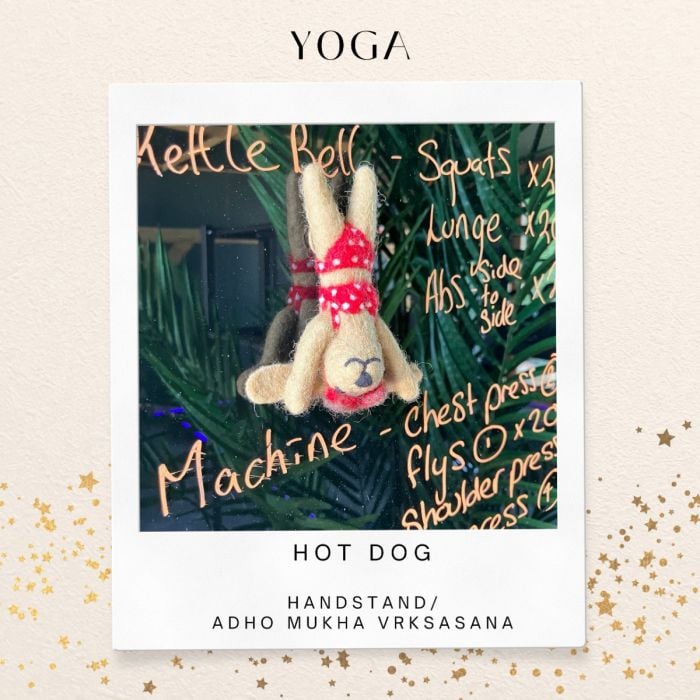 Felt So Good Handmade Felt Hot Dog Bikini Beach Hanging Decoration