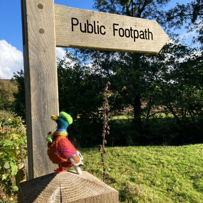 Felt So Good Handmade Felt Master Mallard The Duck Hanging Decoration