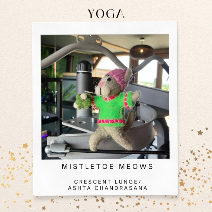 Felt So Good Handmade Felt Mistletoe Meows Christmas Cat Hanging Decoration