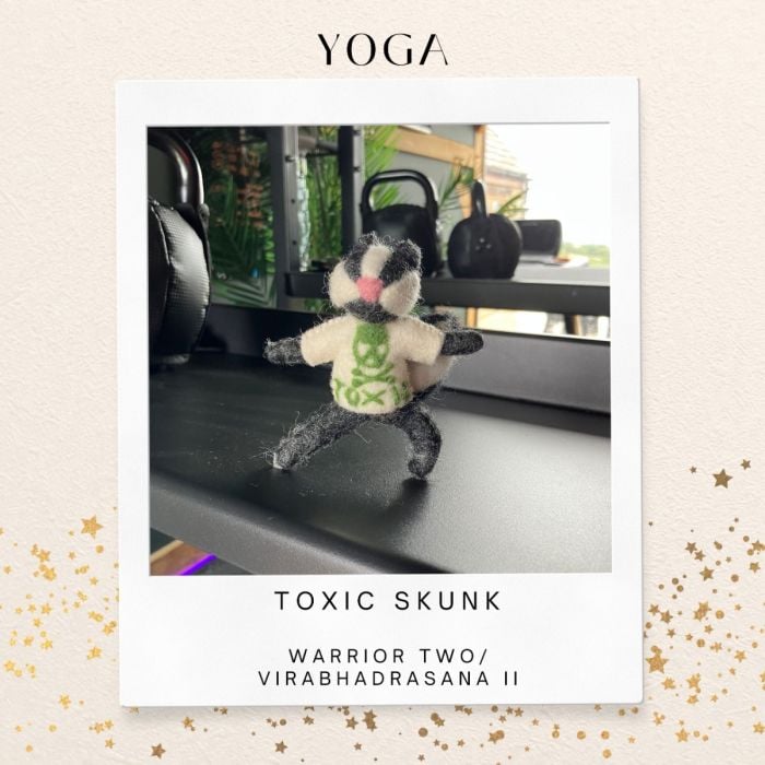 Felt So Good Handmade Felt Toxic Skunk Hanging Decoration