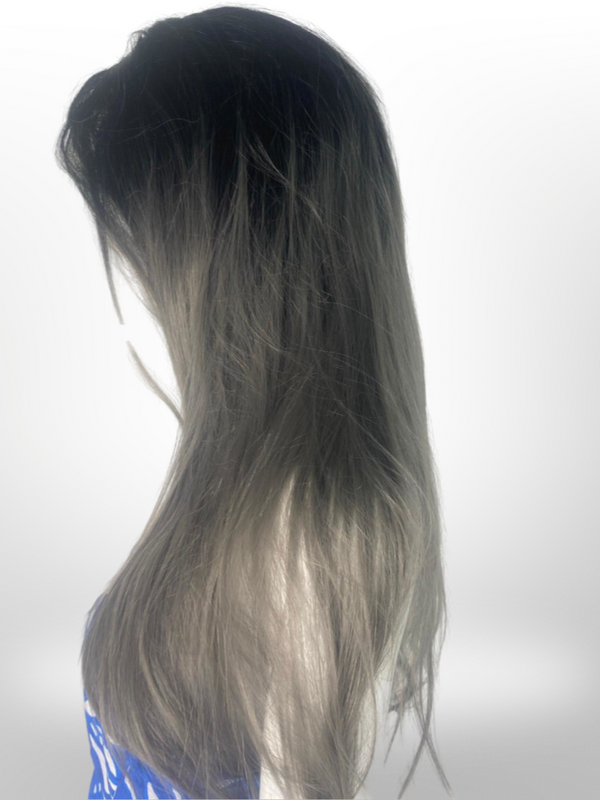 Femme Luxe BLACK AND SILVER Mix Long Straight Hair Synthetic LACE FRONT WIG- Tulip