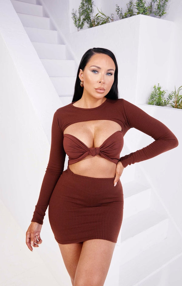 Femme Luxe Chocolate Rib High Neck Long Sleeve Open Back Bodycon Mini Dress - Adeline