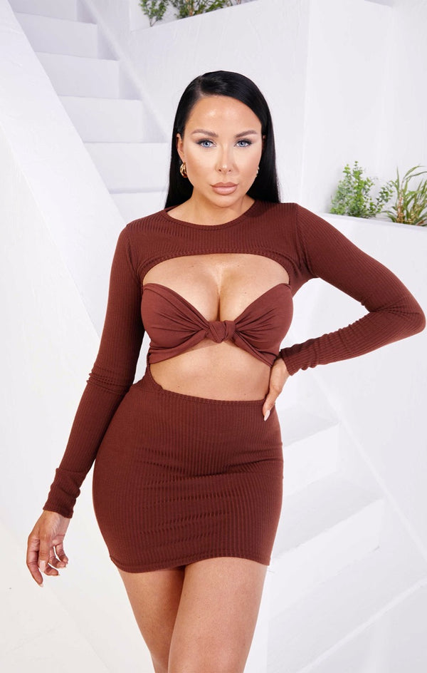 femme luxe Chocolate Rib High Neck Long Sleeve Open Back Bodycon Mini Dress - Adeline