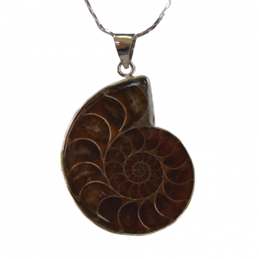 feng shui import Ammonite Gemstone Pendant