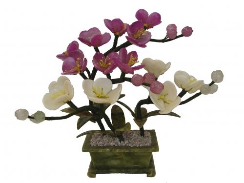 feng shui import Colorful Peony Plant