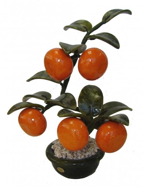 feng shui import Jade Tangerine Plant