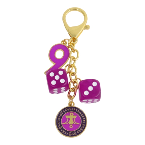 Feng Shui Import Power Of 9 Windfall Amulet