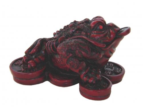 feng shui import Red Money Frog on Coins