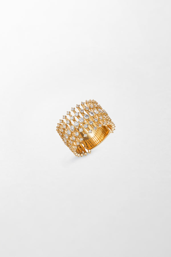 Fernando Jorge Disco Wide Band