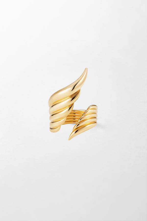 fernando jorge Fire Ring