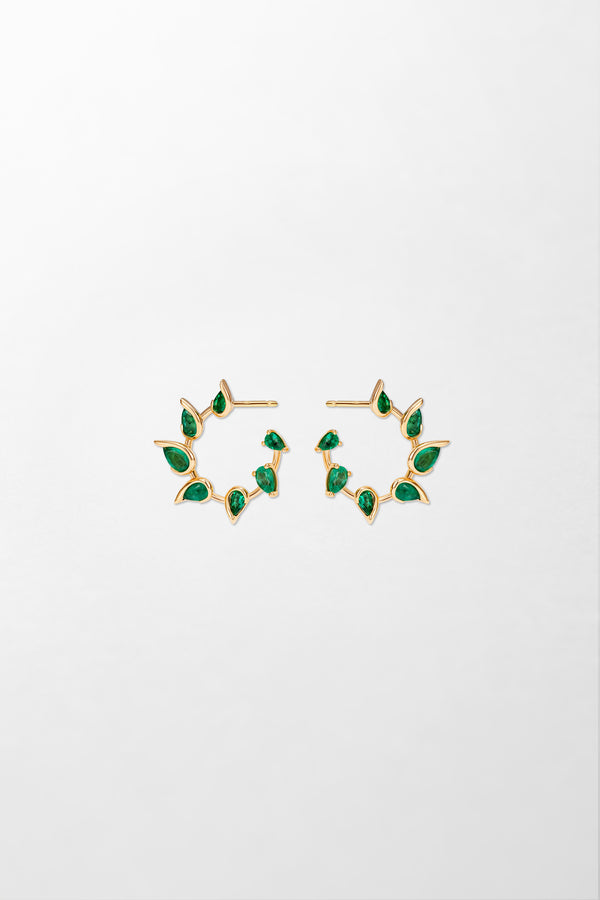 fernando jorge Flicker Hoops