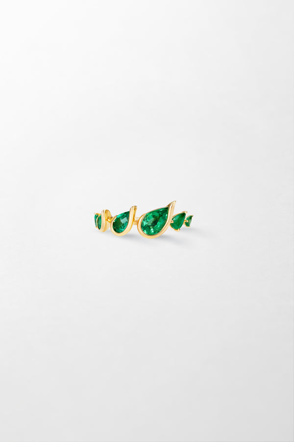 fernando jorge Flicker Ring