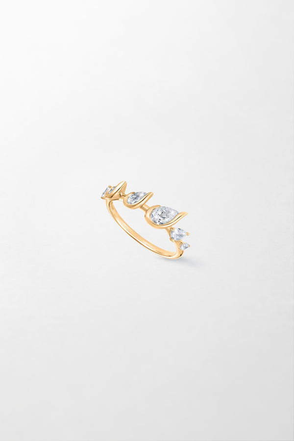 fernando jorge Flicker Ring