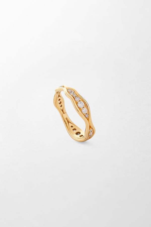 fernando jorge Fluid Diamonds Band