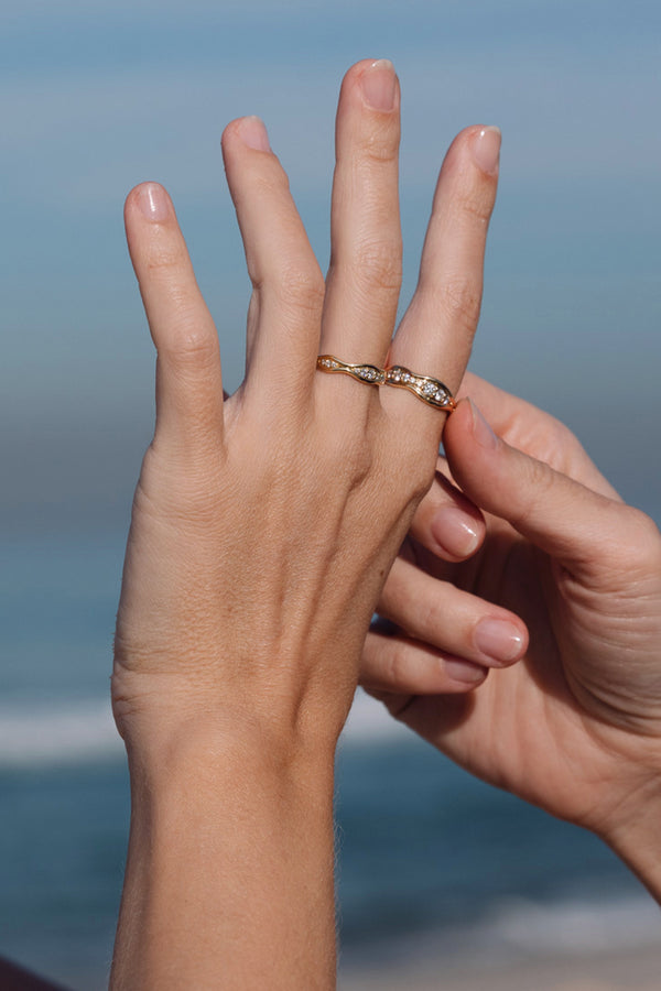 Fernando Jorge Fluid Large Band