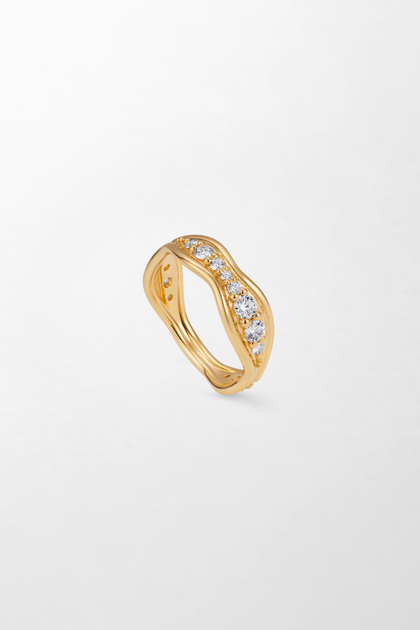 fernando jorge Fluid Large Band