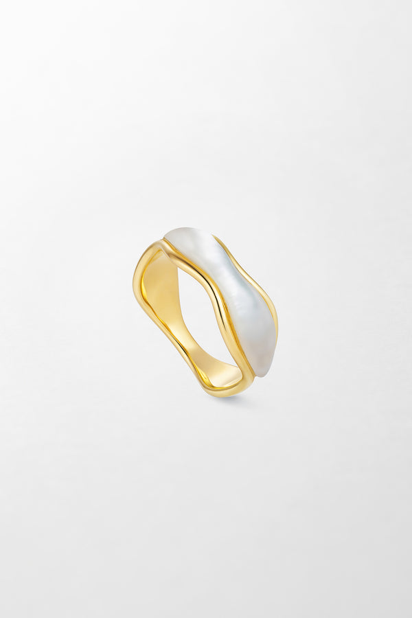 fernando jorge Fluid Stones Band