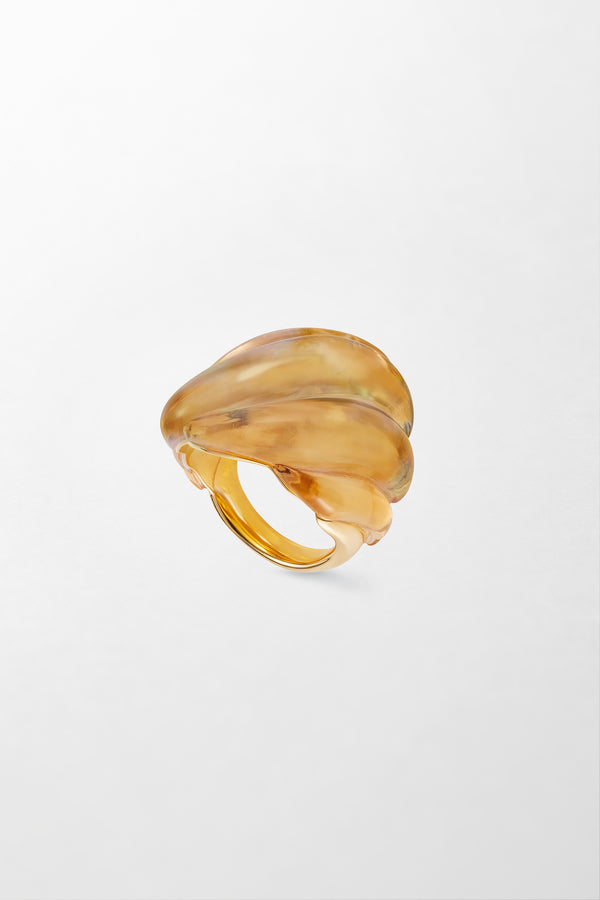 fernando jorge Gleam Ring