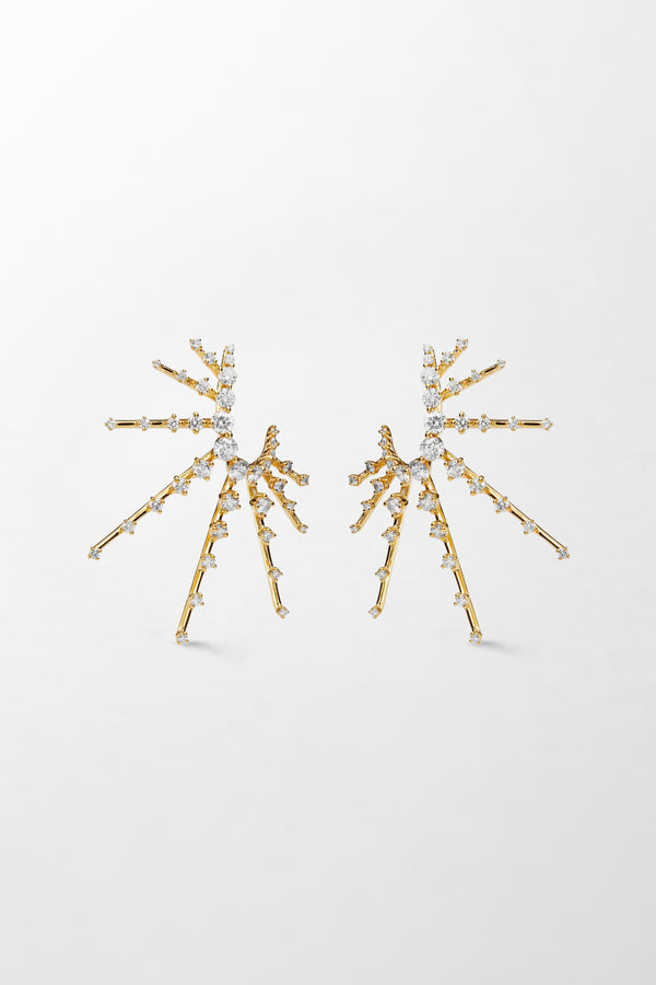 fernando jorge Radiant Earrings