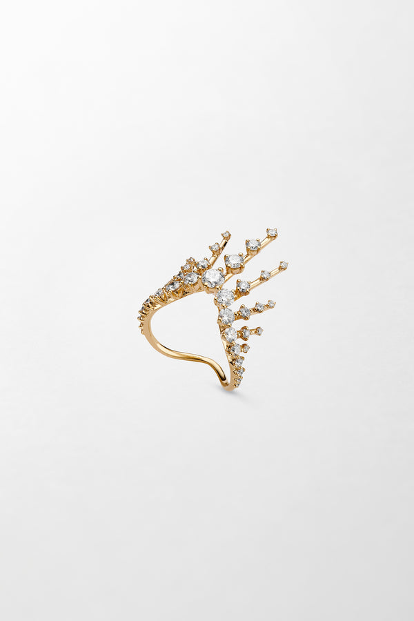 fernando jorge Radiant Ring