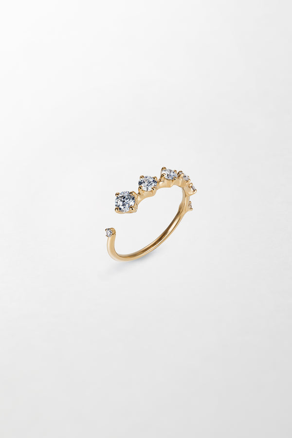 fernando jorge Sequence Band