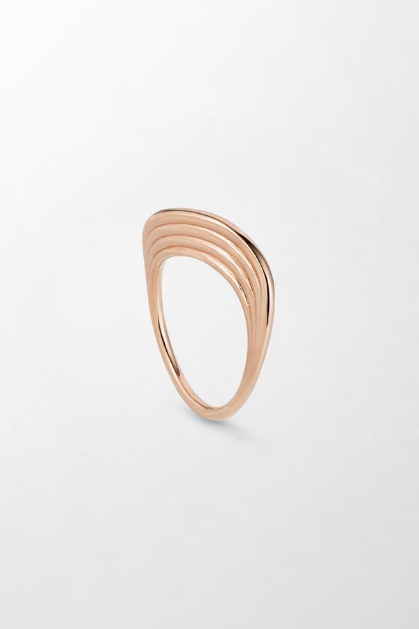 fernando jorge Stream Lines Flat Band