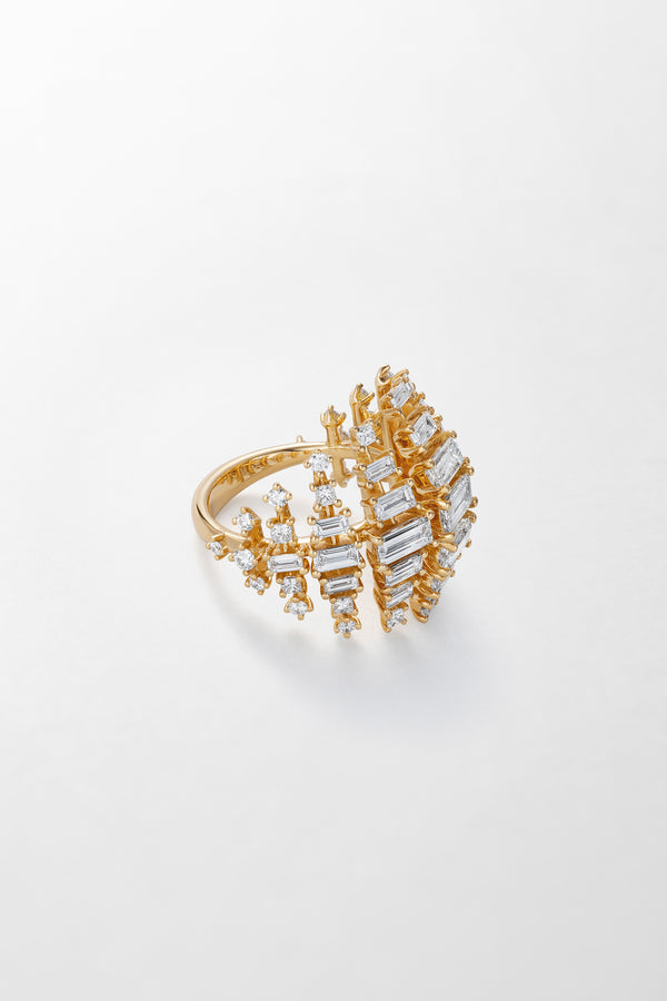 Fernando Jorge Vertigo Ring