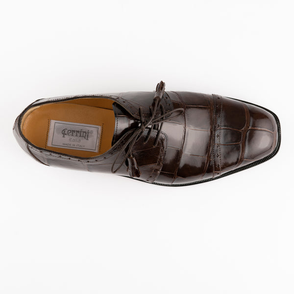 Ferrini Alligator -3798 Chocolate