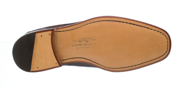 Ferrini Belly Alligator 3520 Chocolate