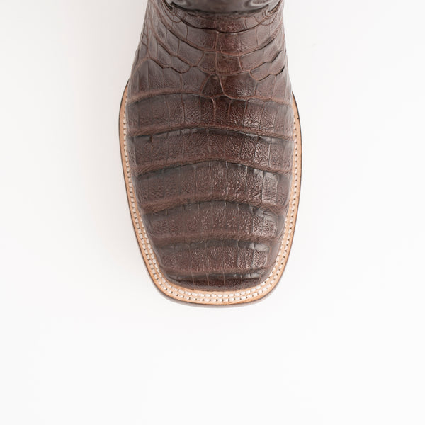 Ferrini Belly Caiman Dakota Chocolate