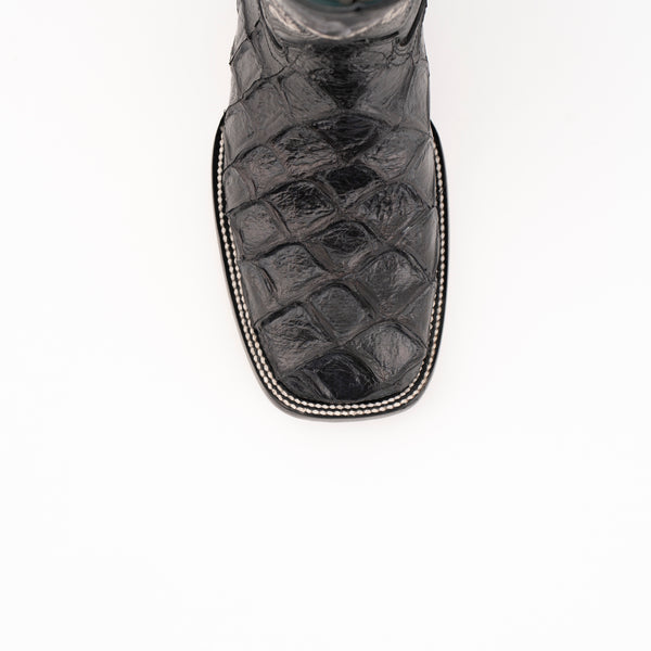 Ferrini Bronco Black