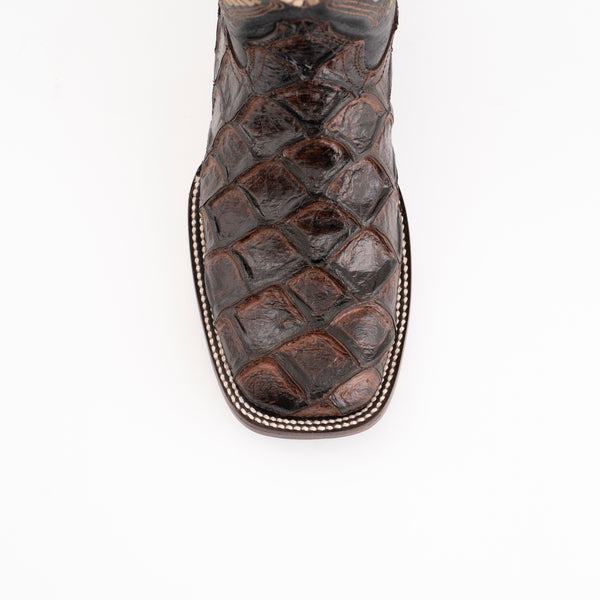 Ferrini Bronco Chocolate