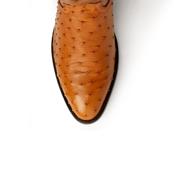 Ferrini Colt - Men's Full Quill Ostrich Cognac