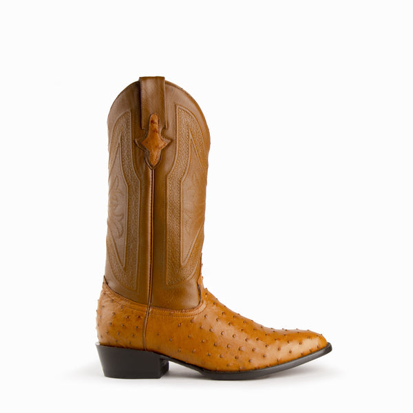 Ferrini Colt - Men's Full Quill Ostrich Cognac