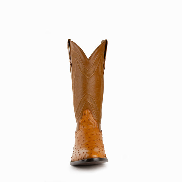 Ferrini Colt - Men's Full Quill Ostrich Cognac