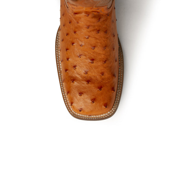 Ferrini Colt - Men's Full Quill Ostrich Cognac