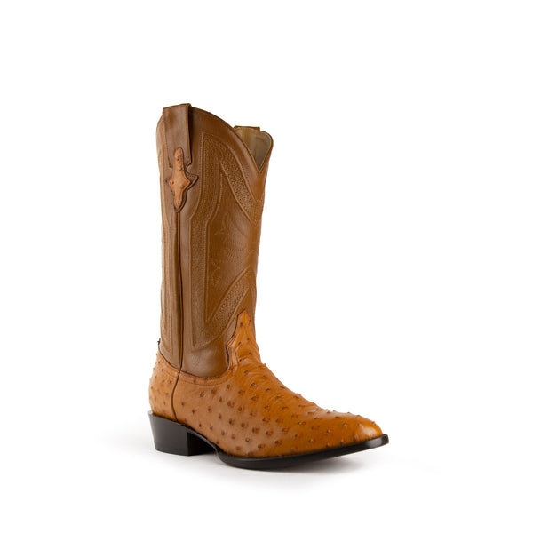ferrini Colt - Men's Full Quill Ostrich Cognac