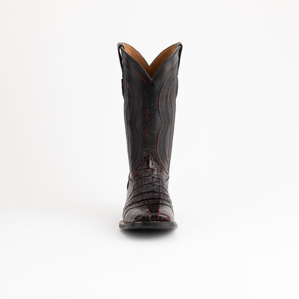 Ferrini Hornback Caiman Dakota Black Cherry