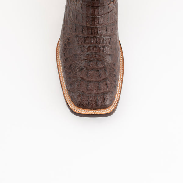 Ferrini Hornback Caiman Dakota Brown
