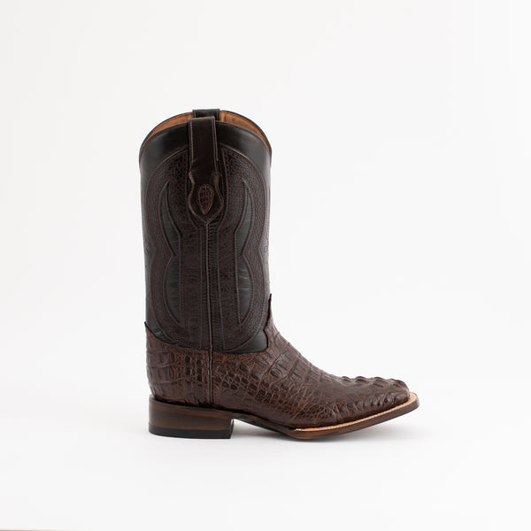 Ferrini Hornback Caiman Dakota Brown