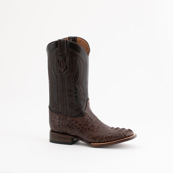 ferrini Hornback Caiman Dakota Brown