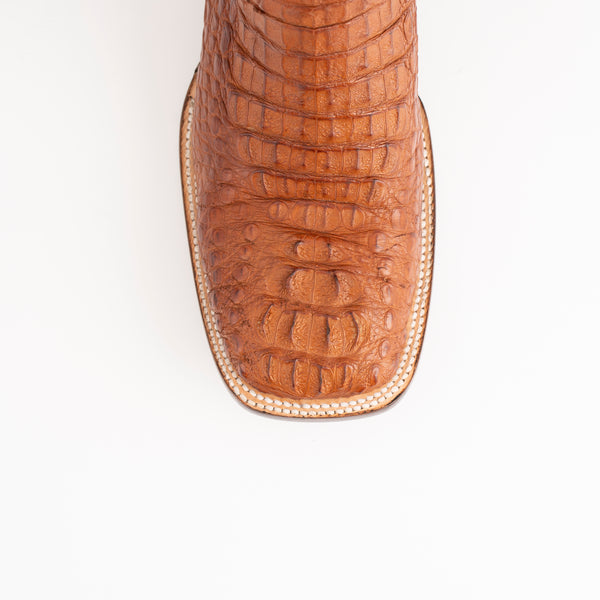 Ferrini Hornback Caiman Dakota Cognac
