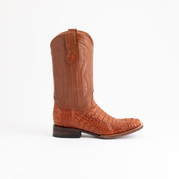 Ferrini Hornback Caiman Dakota Cognac