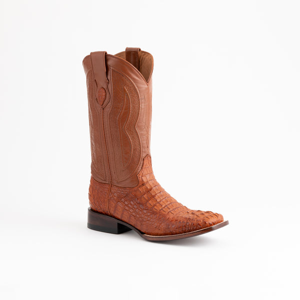 ferrini Hornback Caiman Dakota Cognac