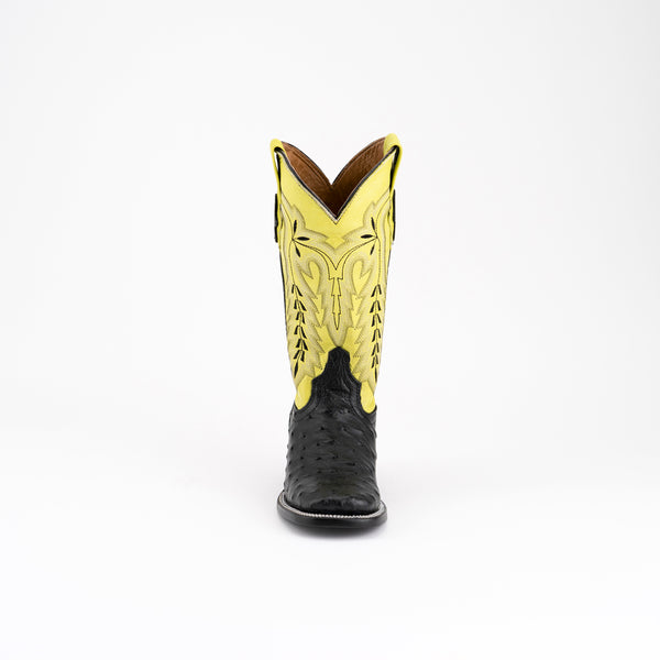 Ferrini Ladies Colt - Full Quill Ostrich Black