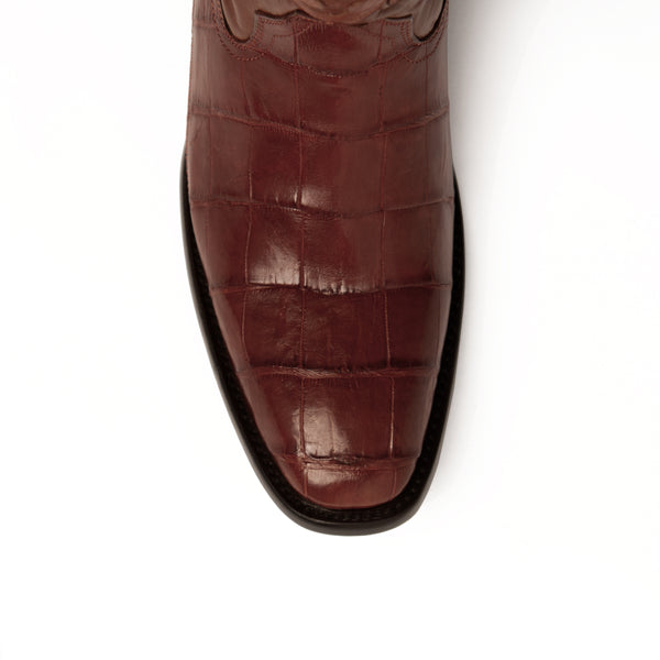 Ferrini Stallion - American Alligator Cognac