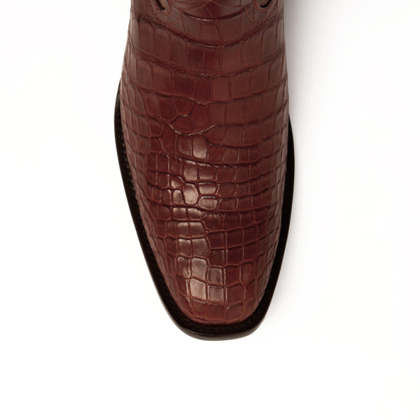Ferrini Stallion - American Alligator Cognac