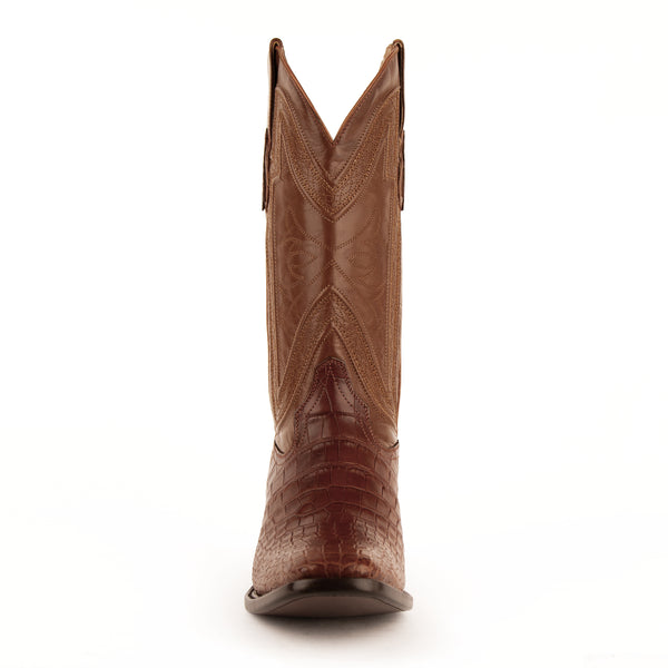 Ferrini Stallion - American Alligator Cognac