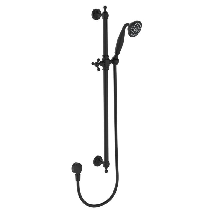 fienza Lillian Rail Shower Matte Black
